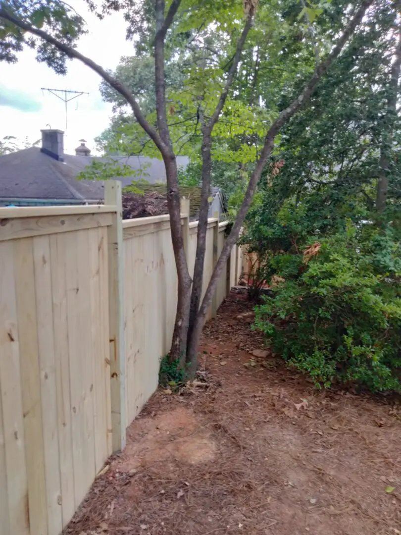 Step Down 6ft Charleston Style Fence
